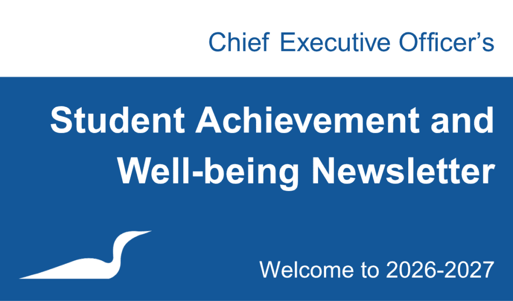 CEO newsletter - website graphic 2026